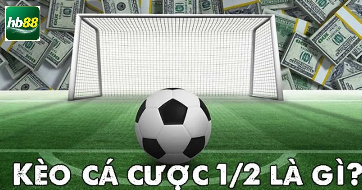 Tìm hiểu cách thức tính điểm